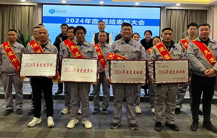 2024年度表彰大會公司領導與獲獎者合影